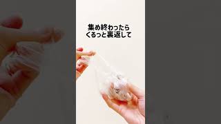 【猫トイレのこれ使ってる？】この方法がやりやすい！#猫トイレ #猫トイレ掃除 #猫 #猫のいる暮らし #ペットのいる暮らし