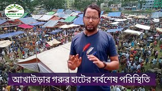 গরু মহিষের হাট শহীদ স্মৃতি সরকারি কলেজ মাঠ আখাউড়া | Qurbani Gorur Bazar Akhaura brahmanbaria