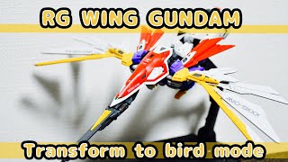 I tried to transform the RG Wing Gundam to Bird Mode while looking at the instruction manual.