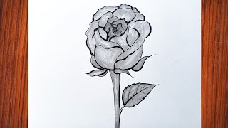 How to draw Rose 🌹 flower drawing/ flower drawing/ rose flower drawing with pencil/ Rose/gulab phool