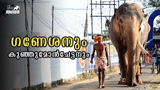 Kerala Elephant Kulamakkil Ganeshan and his Mahout Kunjumon | ആലപ്പുഴയുടെ ഉയരക്കേമൻ കുളമാക്കിൽ ഗണേശൻ