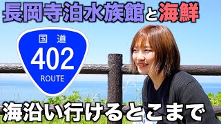 新潟の海沿い国道402号をひたすら運転【日本海夕日ラインドライブ】道の駅出雲崎天領の里からの長岡寺泊水族館も観光しつつ寺泊魚市場で食べ歩き