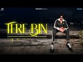 tere bin official video deep money new punjabi song 2024 latest punjabi song 2024