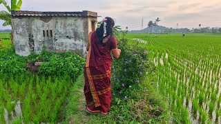 குளிர்கால வறட்டு இருமல் சளியை விரட்ட இந்த மாதிரி பாரம்பரிய முறையில் செய்து கொடுங்கள்#cooking