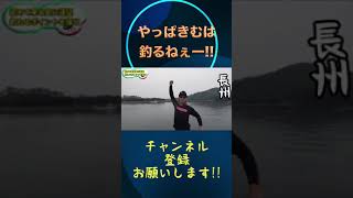 やっぱきむは釣るねー！！#shorts【釣りよか切り抜き】