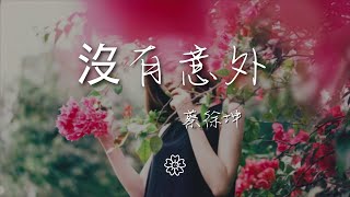 蔡徐坤 - 沒有意外『掉下來 沒有意外』【動態歌詞Lyrics】