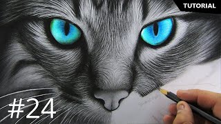 How to Draw a Kitten: Narrated Step by Step | Ronak Art