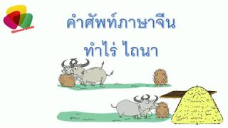 คำศัพท์ภาษาจีน ทำไร่ ไถนา