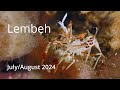 Lembeh - July 2024