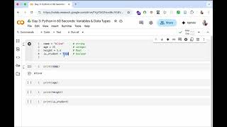 DAY 3: Python in 60 Seconds: Variables & Data Types"