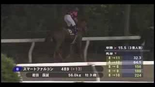 [大井競馬] 080709 ジャパンダートダービー 本場場入場