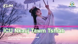 Dev Noj Quav Remix ICU 🎧 Nkauj Hmoob EDM 🎧 Nkauj Tawm Tshiab 2025 || Style DJ hmoob