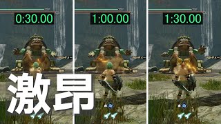 激昂スキルの発動時間と効果時間を検証するよ【MHR　サンブレイク】