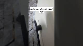 هو واحد بالكوه متحمل روحه انوب يصير ذبانه😂💔🪰🙌🏾