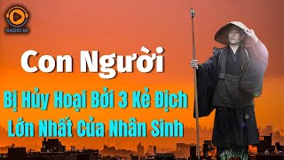 Con Người Bị Hủy Hoại Bởi 3 Kẻ Địch Lớn Nhất Của Nhân Sinh