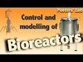 Control and modelling of bioreactors and biological processes