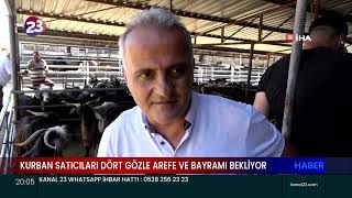 KURBAN SATICILARI DÖRT GÖZLE AREFE VE BAYRAMI BEKLİYOR