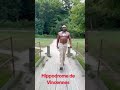 #erycoyugi #congo  #yafreeka #fallyipupa #koffiolomide #ferregola #fypシ゚viral #fyp #warriors #dance