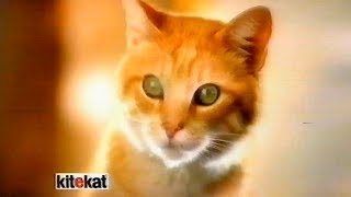 Kitekat Katzenfutter | Werbung 1995