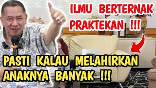 ILMU AGAR BETERNAK HEWAN SEKALI MEL4HIRK4N AN4KNYA BANYAK! INI ILMUNYA DARI  PAK HAJI! #rday