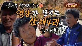 [라이브오늘_미니잡화점] EP21. 가족이란 이름으로 - 경북 영양군 입암면 산해4리 | KBS대구 231102