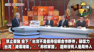 數字台灣HD386 公投倒數 厚植台灣競爭力！ 謝金河 沈國榮 季惠卿 許正雲