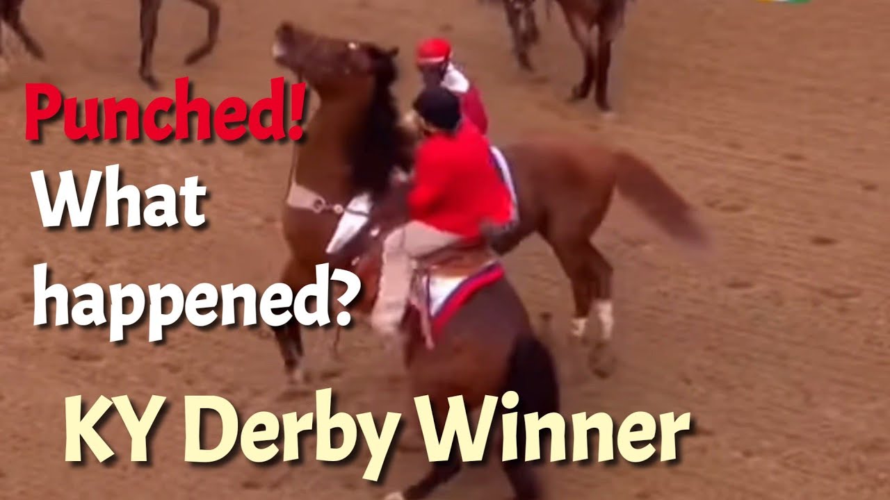 Rich Strike Punched on the Track - what actually happened? Kentucky derby 2022 winner