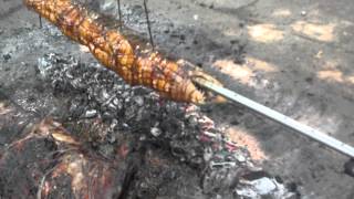 Video from major cookout pig, lamb \u0026 Shark!