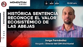 Histórica sentencia reconoce el valor ecosistémico de las abejas / Jorge Fernández