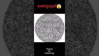 ഇത് ലോകത്ത് 1% ആളുകൾക്ക് മാത്രമേ കാണാൻ കഴിയുകയുള്ളൂ  😱😱 #shorts #illusion