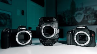 CAMERA SENSORS. Does Size Really Matter for Video?