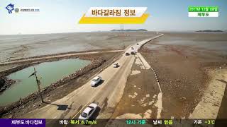 [제부도 바다갈라짐 정보]  12월 8일/ 해양예보 On바다