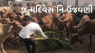 જન્મદિવસ નિ ઊજવણી | Happy birthday | 25 December 2024 #gujarativlog