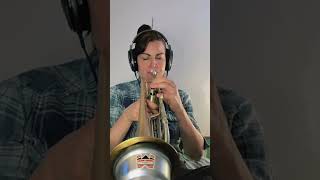 Improvising with a harmonizer #wavesharmony #cupmute #adamsbrass #trumpetsolo #i