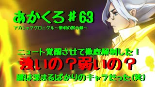 『アカクロ』ニュート覚醒させて徹底解剖！したら謎は深まるばかりのキャラだった『アカシッククロニクル』