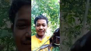 କଙ୍କଡ଼ା ମୋ ଭଉଣୀ ପାଇଁ #charan480vlog #trending #viral #video #shorts