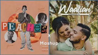 Peaches x Waalian (Mashup) | Full Version | Justin Bieber, Harnoor | øddkidd