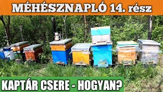 Méhésznapló #14 - Kaptárcsere - Hogyan?