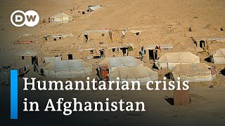 UN: 50% of Afghans face extreme hunger | DW News