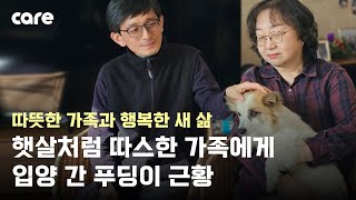 항공참사의 유족인 푸딩이가 입양을 갔습니다 #입양