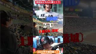 【甲子園2023】夏の甲子園、いよいよ決勝へ！仙台育英VS慶應義塾。 #夏の高校野球 #夏の甲子園 #甲子園 #高校野球 #2023 #仙台育英 #慶應 #神村学園 #土浦日大 #決勝  #shor