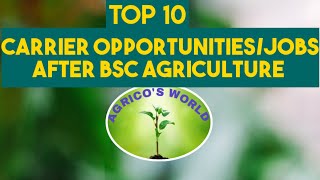 TOP 10 CARRIER OPPORTUNITIES/JOBS AFTER BSC AGRICULTURE ||FOR ALL AGRICULTURE STUDENTS ||