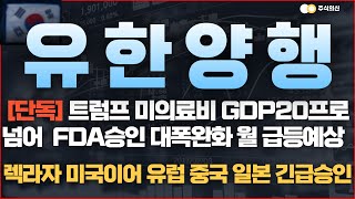 [유한양행 주가 전망] '속보' 트럼프 미의료비 GDP20프로  FDA승인 대폭완화 렉라자 유럽FDA승인 잭팟