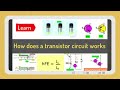 pnp and npn transistors