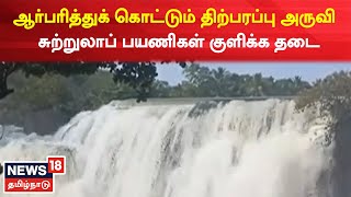 Thirparappu Water Falls | ஆர்பரித்துக் கொட்டும் திற்பரப்பு அருவி - சுற்றுலாப் பயணிகள் குளிக்க தடை