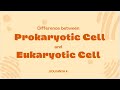 Difference between Prokaryotes and Eukaryotes
