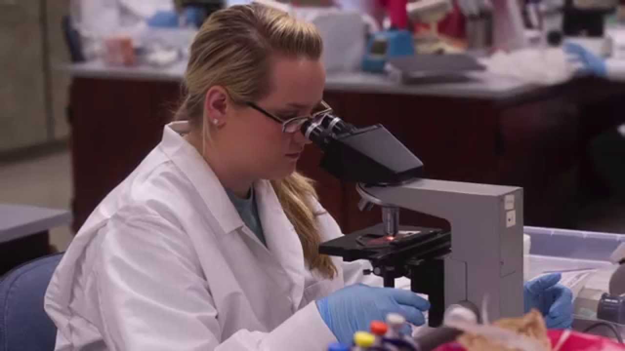 UAB Clinical Laboratory Sciences - YouTube