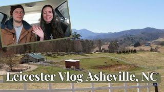 Exploring Leicester Vlog [Asheville, NC Real Estate] [What it's like to live here]