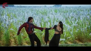 Seema Tapakai Movie || Allari Naresh, Poorna || Part 02/09