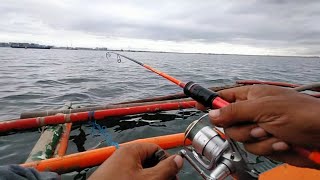 MICRO JIGGING AT MANILA BAY | KITOK,MAMALE,BAKOKO